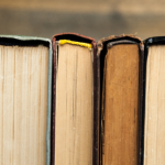 Resumo do livro “A Prática da Prova no Processo Civil” – Selma Ferreira Lemes
