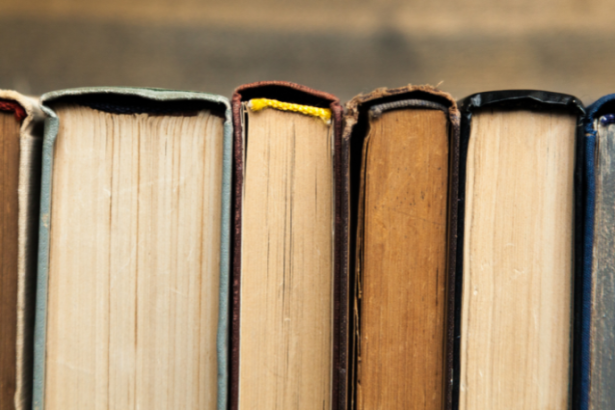 Resumo do livro “A Prática da Prova no Processo Civil” – Selma Ferreira Lemes