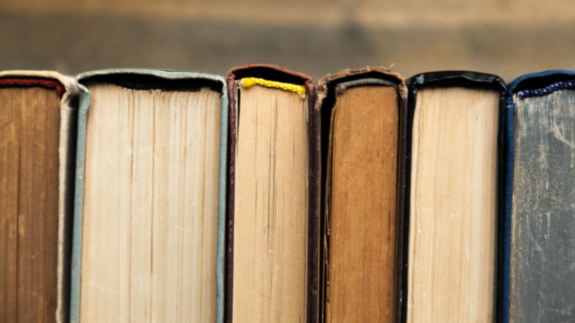 Resumo do livro “A Prática da Prova no Processo Civil” – Selma Ferreira Lemes