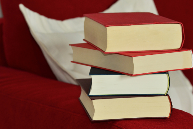 Resumo do livro “A Prova no Processo Civil – Fredie Didier Jr.”