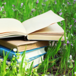 Resumo do livro “A Velha Casa das Almas” – Pedro Bandeira