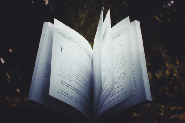 Resumo do livro “Gestão de Escritório de Advocacia – Rodrigo Bertozzi”