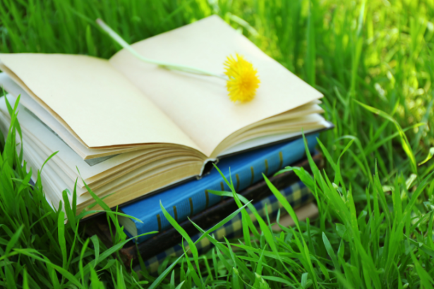 Resumo do livro “Lucíola” – José de Alencar