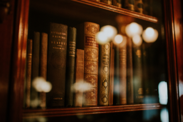 Resumo do livro “Noé: Um Homem de Obediência Radical” – Tim Chaddick