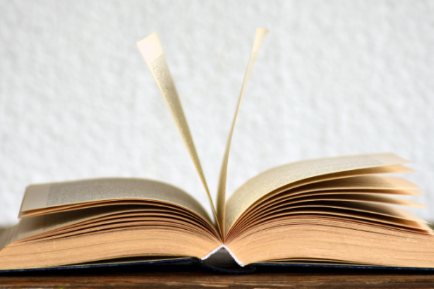 Resumo do livro “O Camaleão e o Sol – Fábula de Millôr Fernandes”