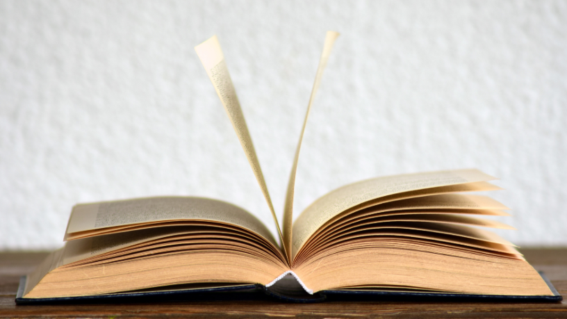 Resumo do livro “O Camaleão e o Sol – Fábula de Millôr Fernandes”