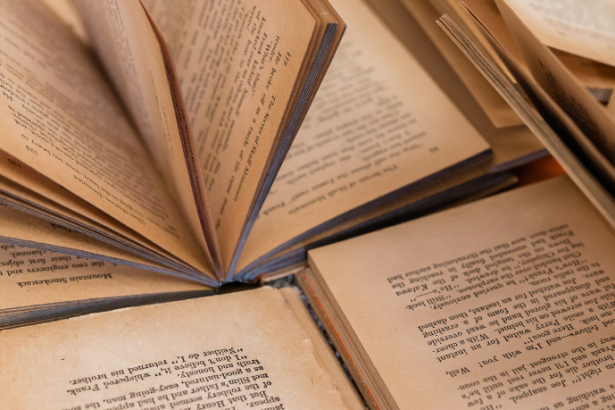 Resumo do livro “O Drama das Escrituras – Craig G. Bartholomew e Michael W. Goheen”