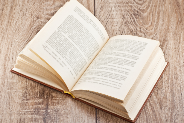 Resumo do livro “O Evangelho Segundo Barrabás” – Fernando Bonassi