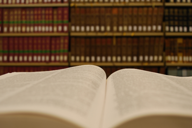 Resumo do livro “O Guardião do Parque” – adaptação do filme cult independente