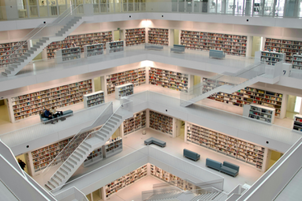 Resumo do livro “O Macaco e o Golfinho” – Esopo