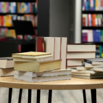 Resumo do livro “O Mendigo e o Tolo” – Dostoiévski