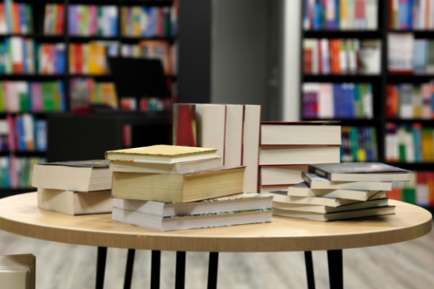 Resumo do livro “O Mendigo e o Tolo” – Dostoiévski