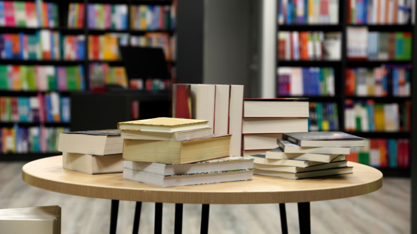 Resumo do livro “O Mendigo e o Tolo” – Dostoiévski
