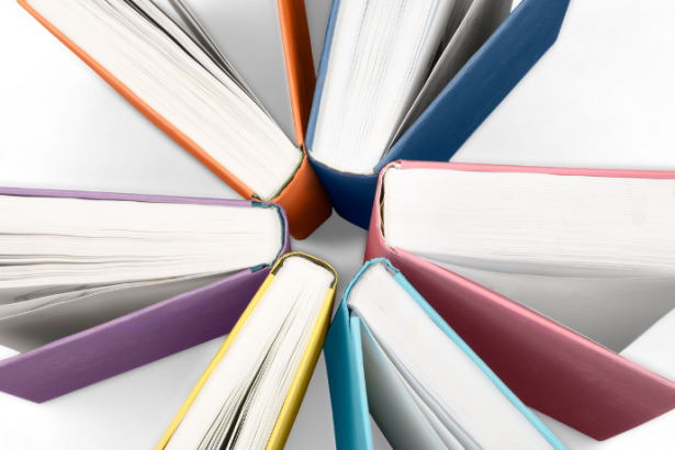 Resumo do livro “O Retrato do Velho” – Lúcio Cardoso