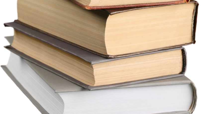 Resumo do livro “O Salto” – Lya Luft