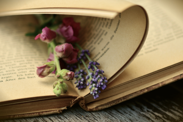 Resumo do livro “O Silêncio de Maria” – Ignacio Larrañaga