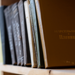 Resumo do livro “O Visitante” – Sergio Sant’Anna
