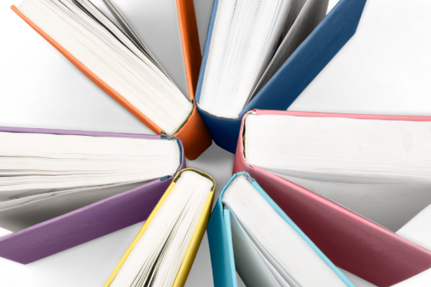 Resumo do livro “Os Malaquias” – Andréa Del Fuego