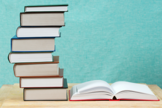 Resumo do livro “Pedra que Fala” – Letícia Munhoz