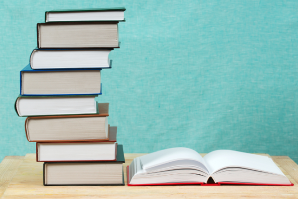 Resumo do livro “Pedra que Fala” – Letícia Munhoz