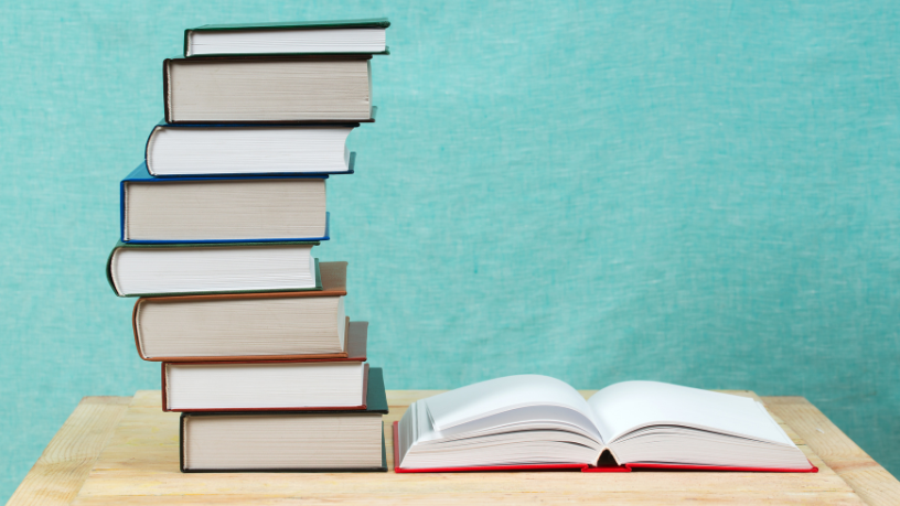 Resumo do livro “Pedra que Fala” – Letícia Munhoz