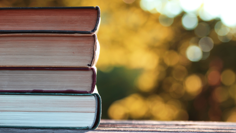 Resumo do livro “Processo Constitucional Crítica e Justificação” – Marcelo Neves