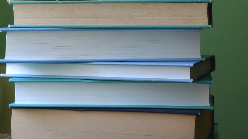 Resumo do livro “Sombras de Junho” – Clarice Rodrigues