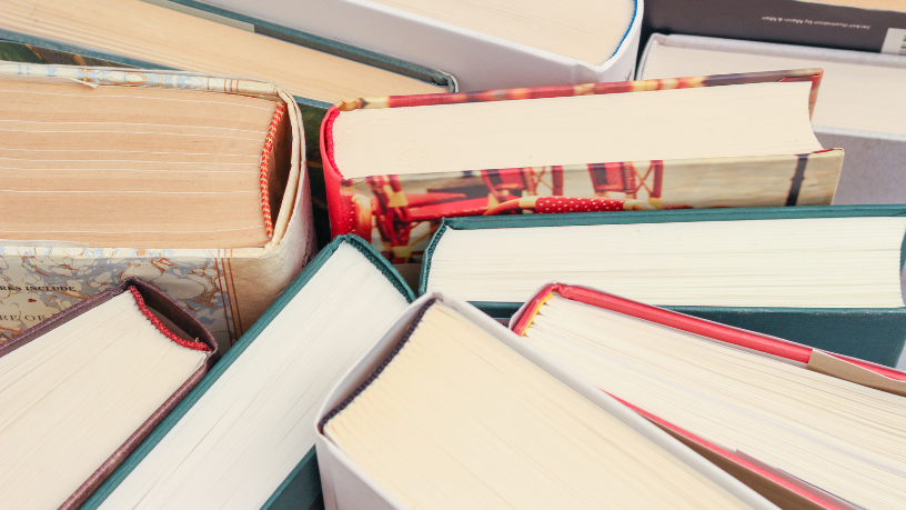 Resumo do livro “Um Copo de Cólera” – Raduan Nassar