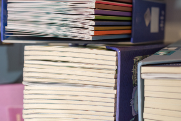 Resumo do livro "A Chave de Casa" – Tatiana Salem Levy