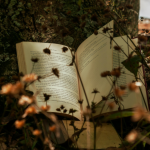 Resumo do livro "A Cruz de Cristo" – John Stott