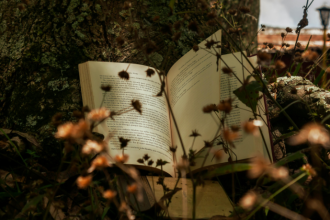 Resumo do livro "A Cruz de Cristo" – John Stott