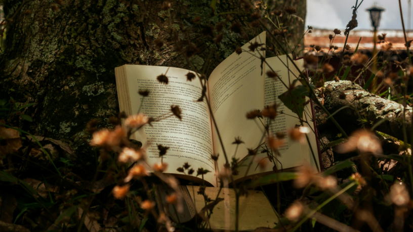 Resumo do livro "A Cruz de Cristo" – John Stott