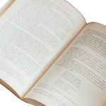 Resumo do livro "A Formiga e a Pomba" – recontada por Tatiana Belinky