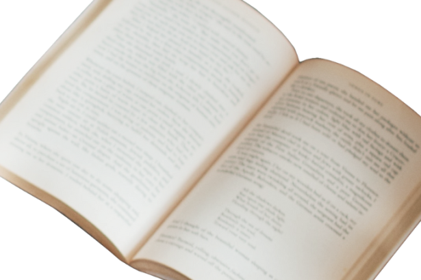 Resumo do livro "A Formiga e a Pomba" – recontada por Tatiana Belinky