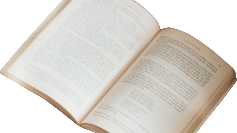 Resumo do livro "A Formiga e a Pomba" – recontada por Tatiana Belinky