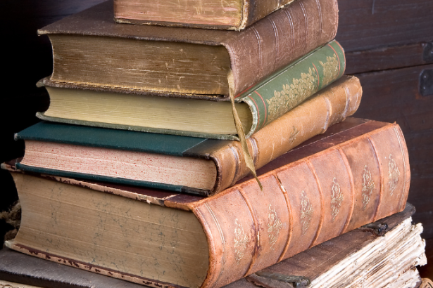 Resumo do livro "A Formiga que Perdeu o Caminho" – Ana Maria Machado