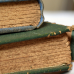 Resumo do livro "A Formiguinha Desatenta" – Rosane Pamplona
