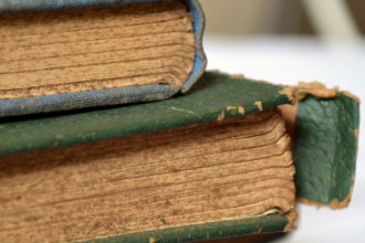 Resumo do livro "A Formiguinha Desatenta" – Rosane Pamplona