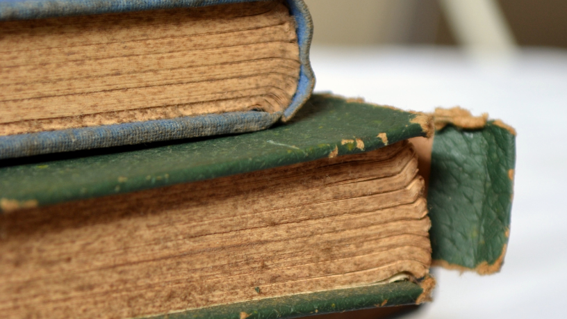 Resumo do livro "A Formiguinha Desatenta" – Rosane Pamplona