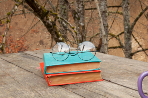 Resumo do livro "A Grande Muralha: A Arte do Filme" – Abbie Bernstein