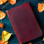 Resumo do livro "A Lapa e a Contrapina" – Marques Rebelo