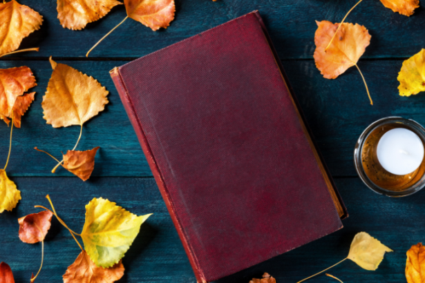 Resumo do livro "A Lapa e a Contrapina" – Marques Rebelo