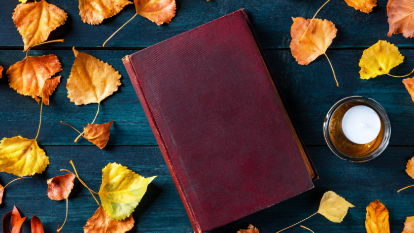 Resumo do livro "A Lapa e a Contrapina" – Marques Rebelo