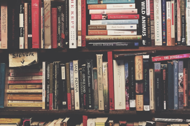 Resumo do livro "Não Verás País Nenhum" – Ignácio de Loyola Brandão