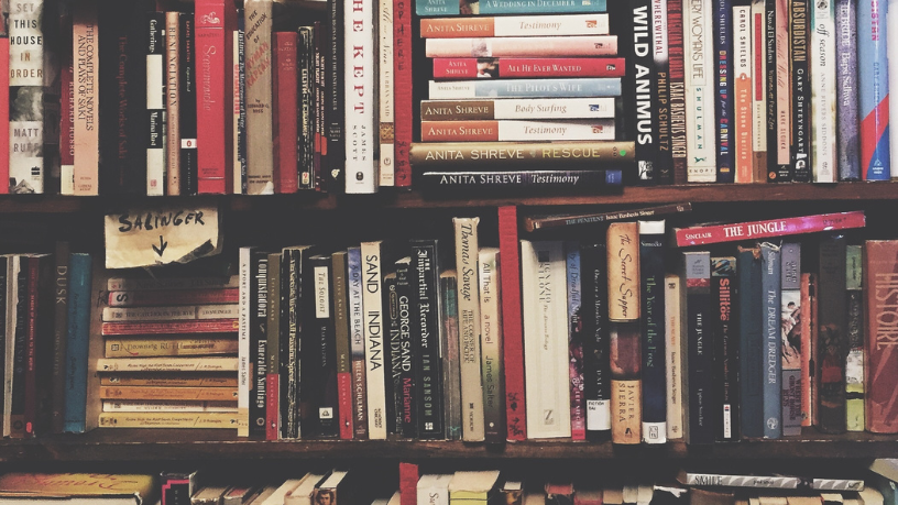 Resumo do livro "Não Verás País Nenhum" – Ignácio de Loyola Brandão