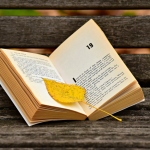 Resumo do livro "O Homem Duplicado" – José Saramago