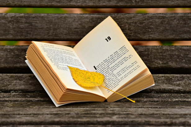 Resumo do livro "O Homem Duplicado" – José Saramago