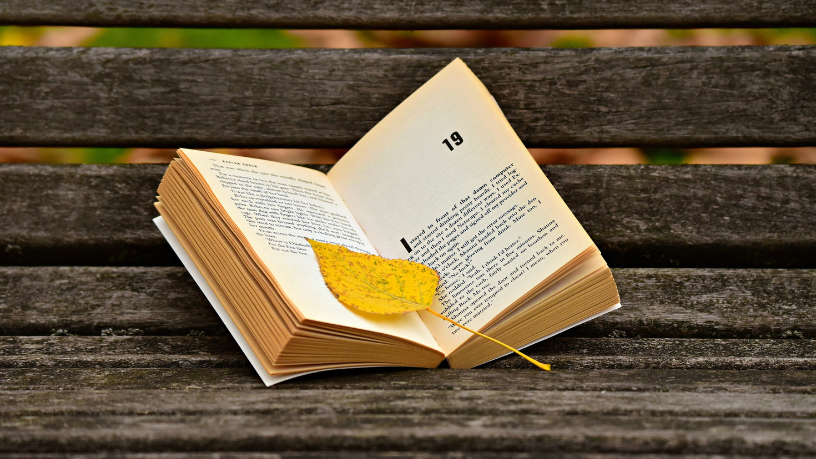 Resumo do livro "O Homem Duplicado" – José Saramago