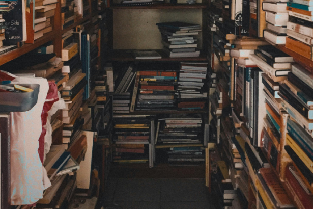 Resumo do livro "O Homem que Calculava" – Malba Tahan