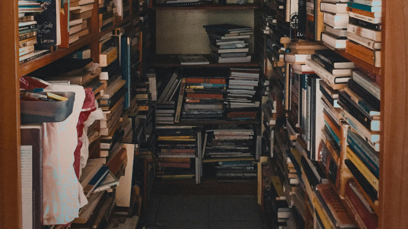 Resumo do livro "O Homem que Calculava" – Malba Tahan